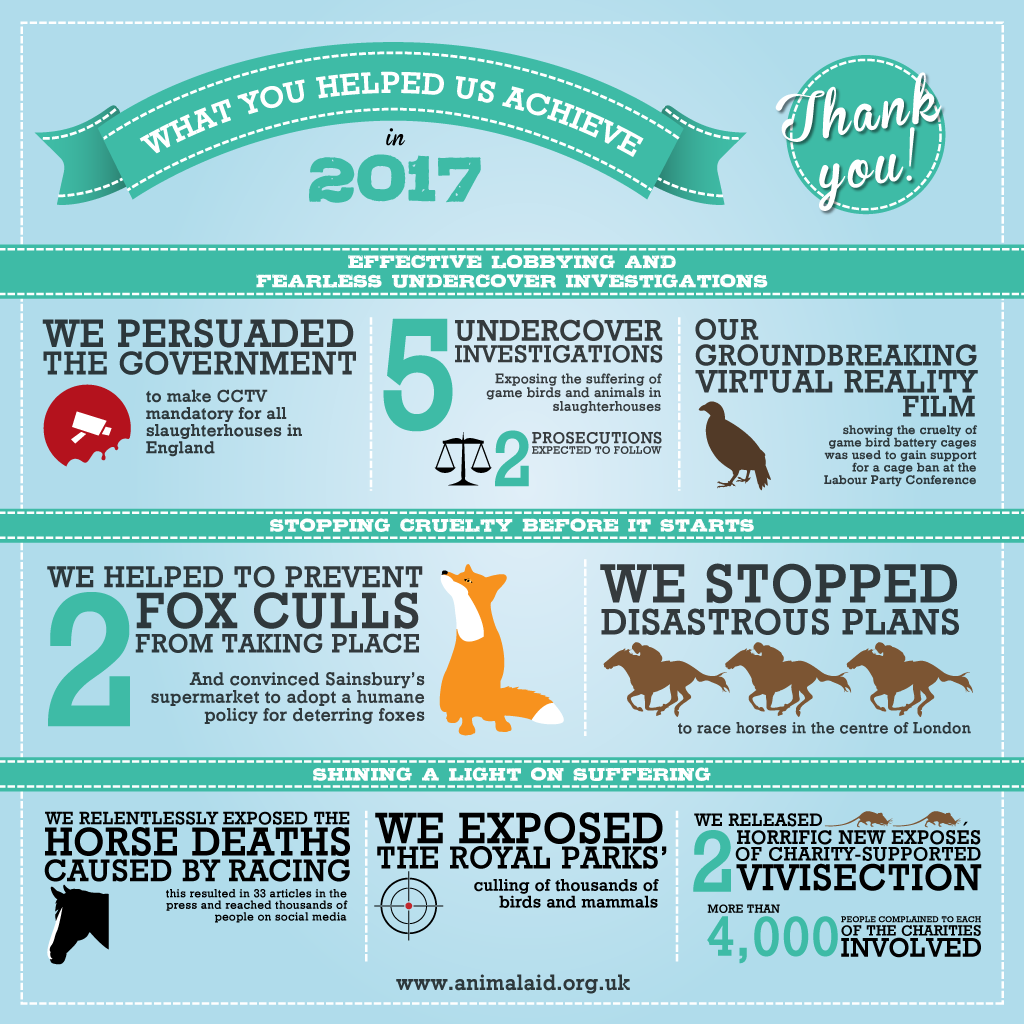 Animal Aid - EoY Infographic - Square for Social Media - Animal Aid