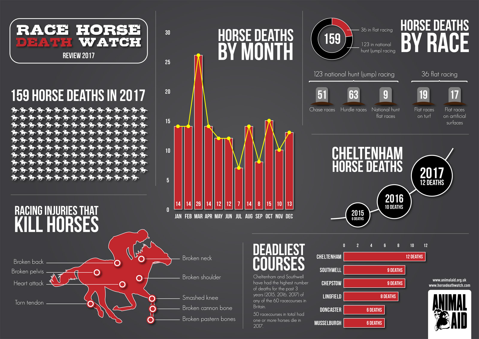 Increase in race horse deaths recorded by Animal Aid Animal Aid