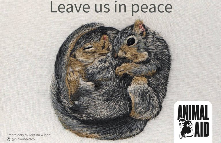 Animal Aid Launch Postcard Campaign Against Squirrel Culling Wildlife