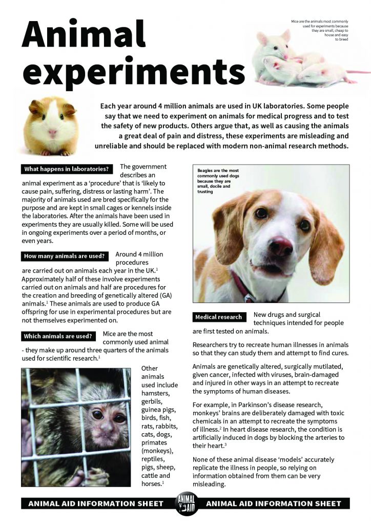 literature review on animal experiments