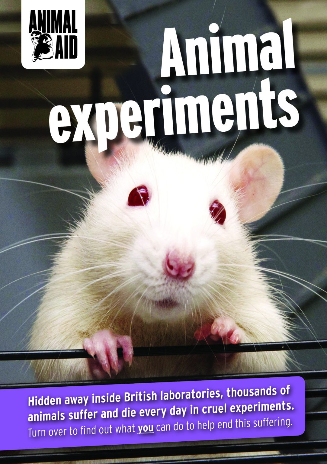 animal experiments hazards