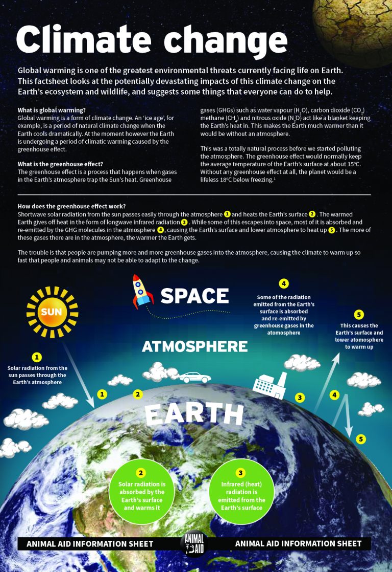 Climate change Animal Aid