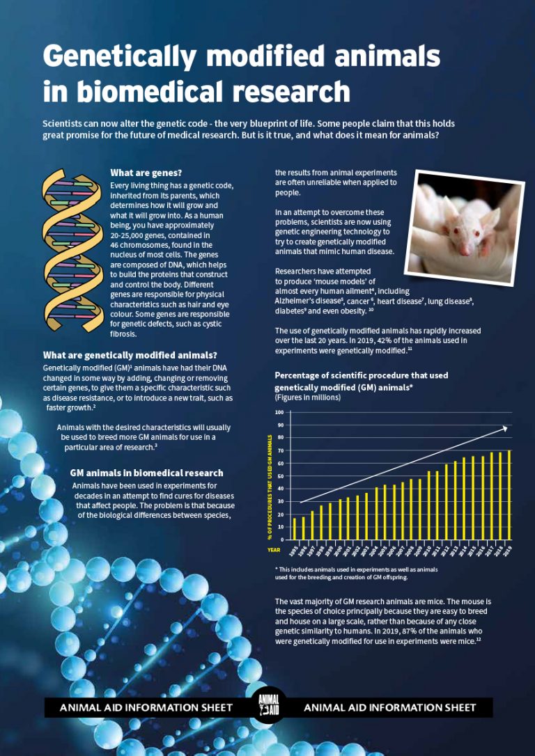 research on genetically modified animals