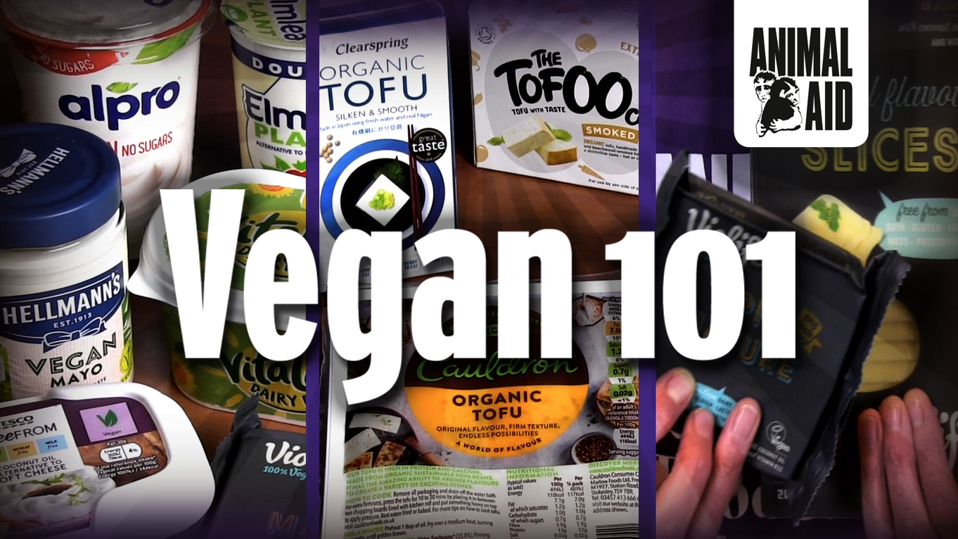 Vegan 101 - Animal Aid