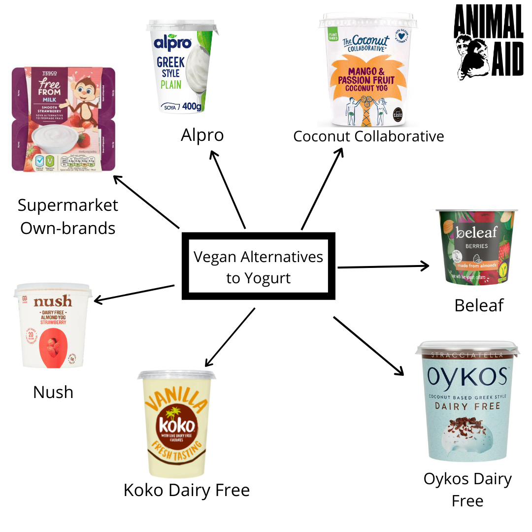 Vegan Alternatives To Yogurt IG - Animal Aid